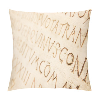 Personality   Latin Writing Background Pillow Covers
