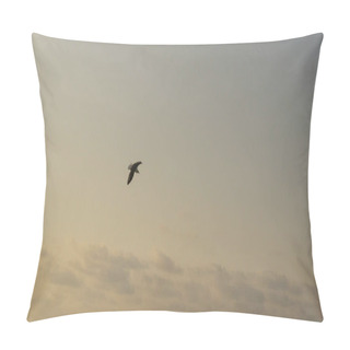 Personality  Silhouetted Bird, Tranquil Dusk Sky Pillow Covers