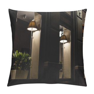 Personality  Selective Focus Of Lamps Near Green Plants On Window Sills  Pillow Covers