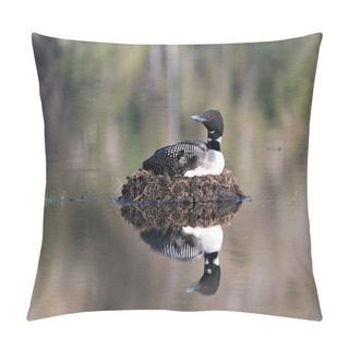 Personality  Loon Nesting On Its Nest With Marsh Grasses, Mud And Water By The Lakeshore In Its Environment And Habitat Displaying Red Eye, Black And White Feather Plumage, Greenish Neck With Body Reflection.  Loon On Nest. Loon In Wetland. Loon On Lake Image.Pic Pillow Covers
