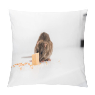 Personality  Small Rat Near Tasty Cube Of Cheese On Table  Pillow Covers