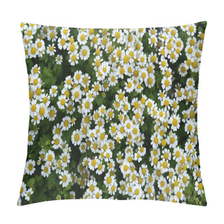 Personality  Meadow Flowers Pillow Covers
