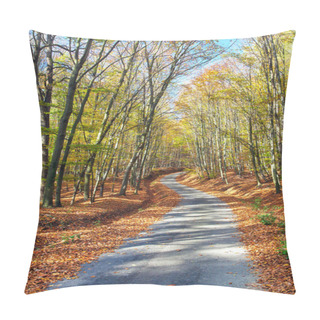 Personality  Autumn Forest Road In Deciduous Beech Forest, Chriby, Czech Republic  Pillow Covers