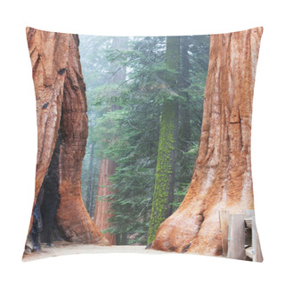 Personality  Sequoya Pillow Covers