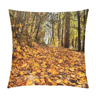 Personality  Woodland In Autumn , Falle Leaves On Footpath , Pillow Covers
