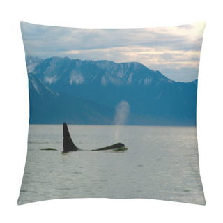 Personality  Orcinus Orca Pillow Covers