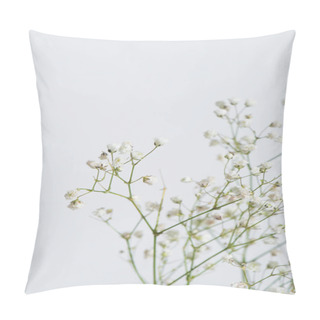 Personality  Branches With Tiny Blooming Flowers Isolated On White  Pillow Covers