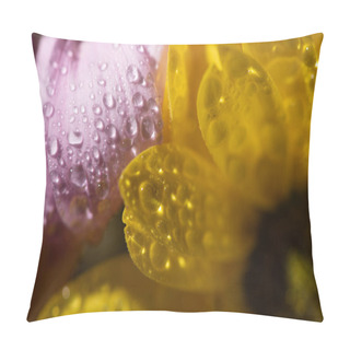 Personality  Close Up View Of Yellow And Violet Daisies With Water Drops Pillow Covers