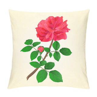 Personality  Twig Red Rose With Bud Vector Pillow Covers