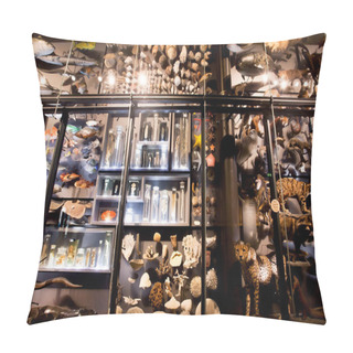 Personality  Installation With Specimens Of Extinct Animals And Modern InMuseum Fur Naturkunde Pillow Covers