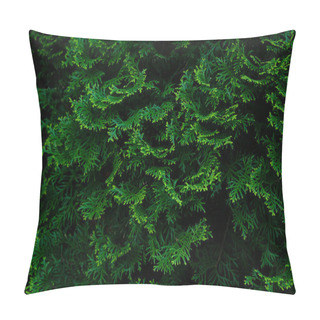 Personality  Cypress Trees Green Texture, Organic Ecological Concept Pillow Covers