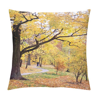 Personality  Autumn In City Park Pillow Covers