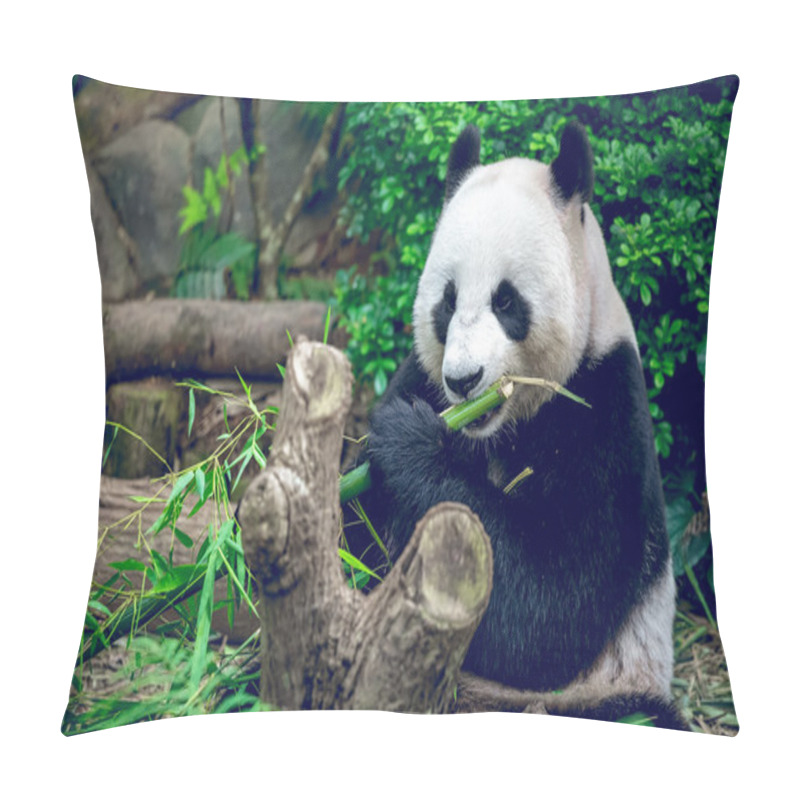 Personality  Giant panda pillow covers