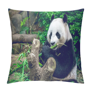 Personality  Giant Panda Pillow Covers