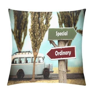 Personality  Street Sign Special Versus Ordinary Pillow Covers