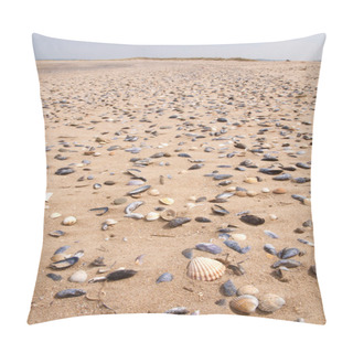 Personality  Shells On A Beach Pillow Covers