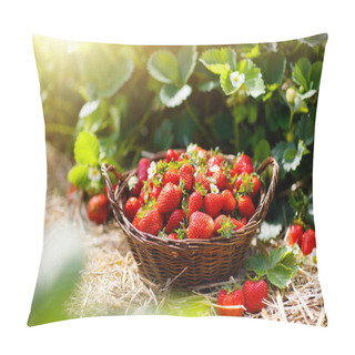 Personality  Strawberry Field On Fruit Farm. Berry In Basket. Pillow Covers