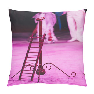Personality  Selective Focus Of Ladder With Stand And Artists With Ara Parrot In Circus Pillow Covers