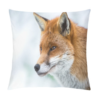 Personality  Close Up Of Fox In Snow Pillow Covers