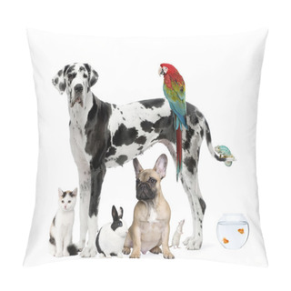 Personality  Group Of Pets Standing In Front Of White Background, Studio Shot Pillow Covers