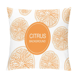 Personality  Citrus Fruit Sketch On White Background Rectangular Composition Pillow Covers