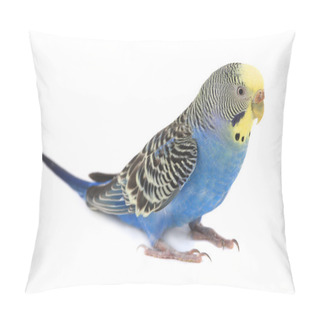 Personality  Blue Budgie Pillow Covers