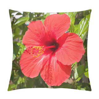 Personality  Red Hibiscus Flower Pillow Covers