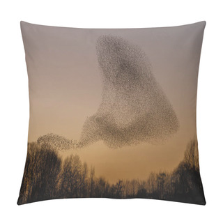 Personality  Murmurations Of Starlings During Sunset, Beautiful Nature Background Pillow Covers