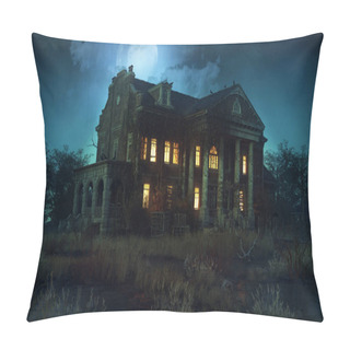 Personality  Scary Old Abandoned House With Bones And Graffiti Pillow Covers