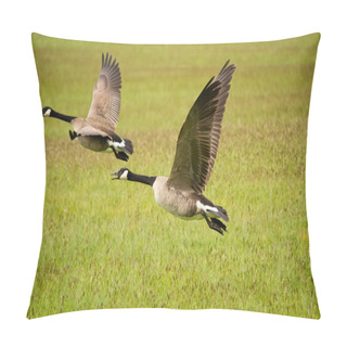 Personality  Two Canada Geese Flying Pillow Covers