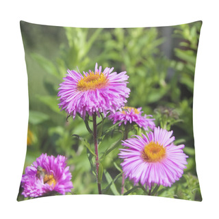 Personality  Flowers Aster Pillow Covers