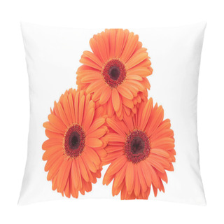 Personality  Gerbera Bouquet Isolated Pillow Covers