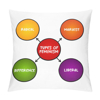 Personality  Types Of Feminism (advocacy Of Women's Rights On The Basis Of The Equality Of The Sexes) Mind Map Text Concept Background Pillow Covers