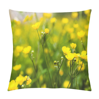 Personality  Yellow Buttercup Flowers Pillow Covers