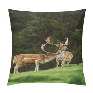 Personality  Deers Near The Forest Pillow Covers