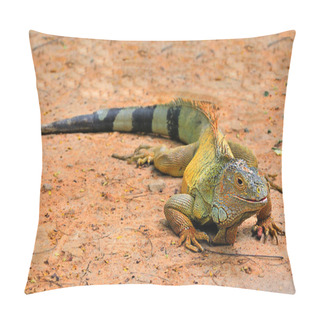 Personality  Iguana Pillow Covers