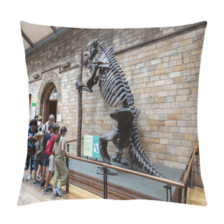 Personality  LONDON, UK - JUNE 18, 2022: Interior Of Natural History Museum In London, UK Pillow Covers