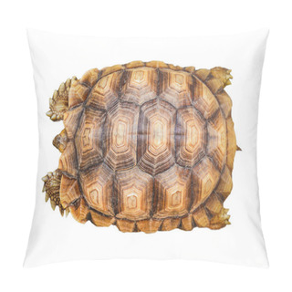 Personality  Armature Turtle Isolated / Tortoise Shell Pattern Beautiful Isol Pillow Covers