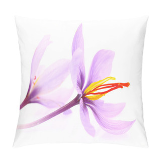 Personality  Close Up Of Saffron Flowers Isolated On White Background  Pillow Covers
