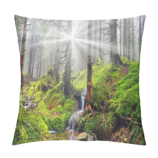 Personality  Pine Trees In Carpathian Mountains Pillow Covers