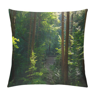 Personality  Sunny Evening In The Magical Carpathian Forest Pillow Covers