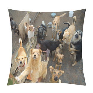 Personality  A Lot Of Stray Dogs Pillow Covers