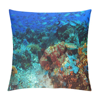 Personality  Komodo Coral Reef Pillow Covers