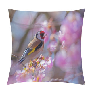 Personality  European Goldfinch (Carduelis Carduelis) Sitting On The Branch Of A Flowering Cherry Tree Pillow Covers