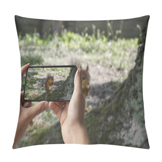 Personality  Man Holding Phone And Taking Photo Of Red Squirrel Eats In Park Pillow Covers