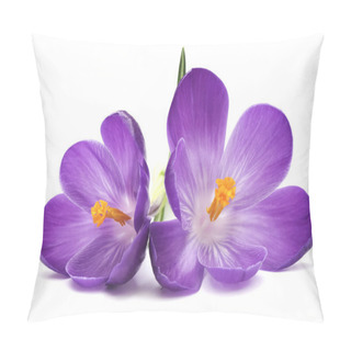 Personality  PURPLE CROCUS FLOWER Pillow Covers