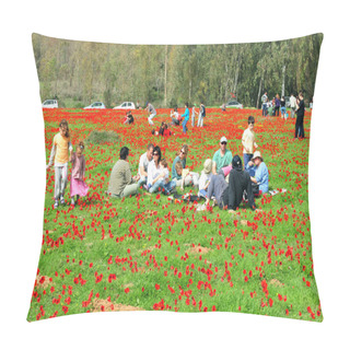 Personality  Anemones Blossom In Israel Pillow Covers