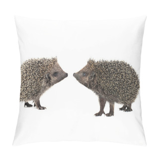 Personality  Hedgehogs On White Pillow Covers