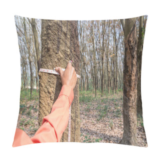 Personality  Hands Holding Measuring Tape For Measure The Rubber Tree Pillow Covers