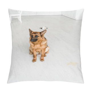 Personality  Cute German Shepherd Sitting On Floor And Looking Away In Kitchen  Pillow Covers